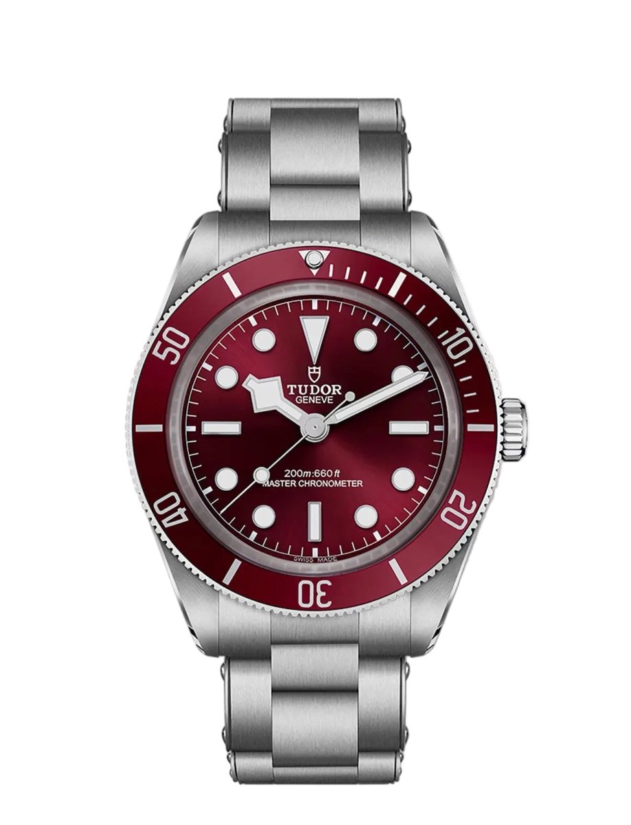 M7939A1A0RU-0002 Tudor Black Bay 58