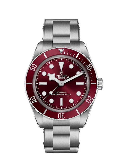 M7939A1A0RU-0002 Tudor Black Bay 58